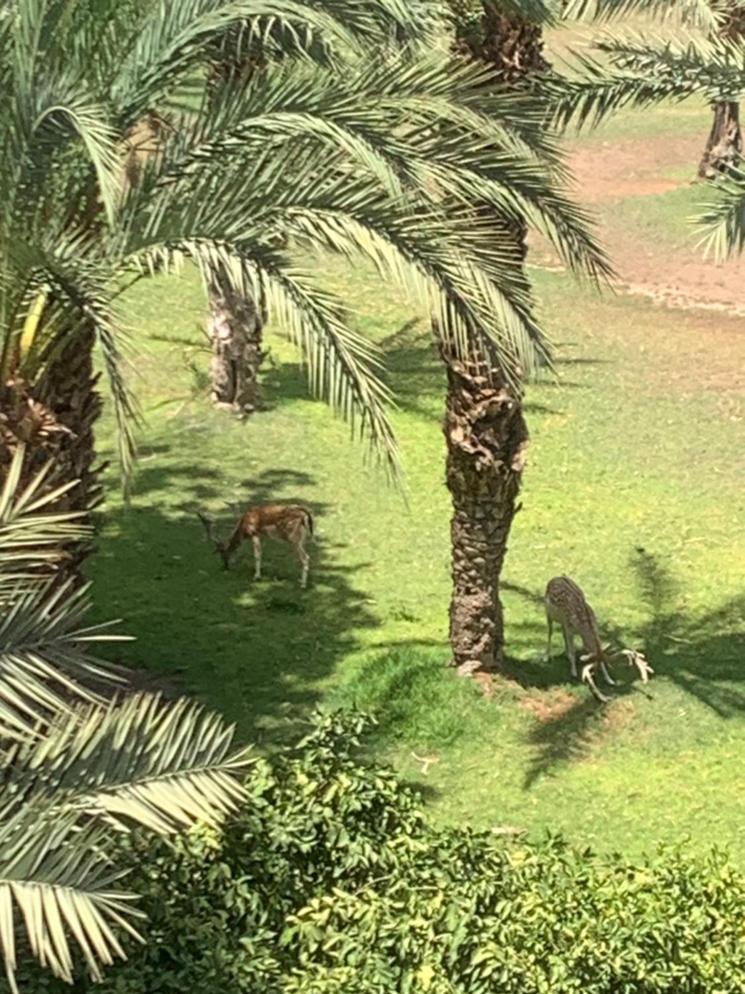 Riad Nolya Luxury Marrakech - Totalement Renove - Capacite Jusqu A 10 Lits Spacieux Marrákes Kültér fotó
